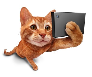 Selfie Cat clipart