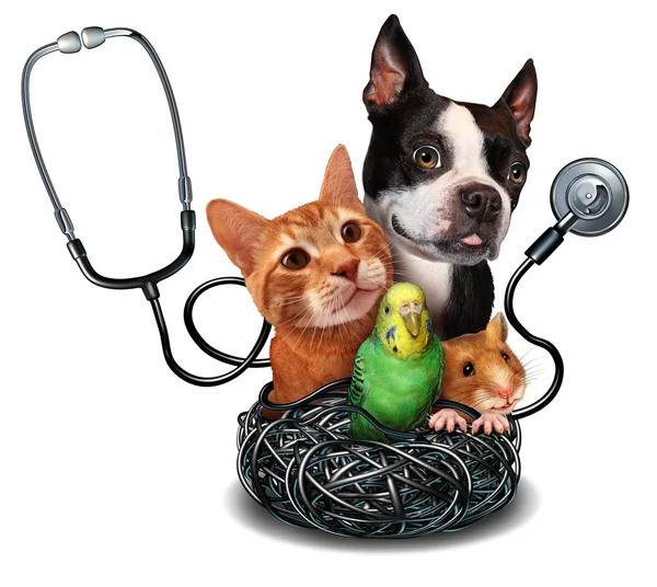 Veterinary Care — Stock Photo, Image