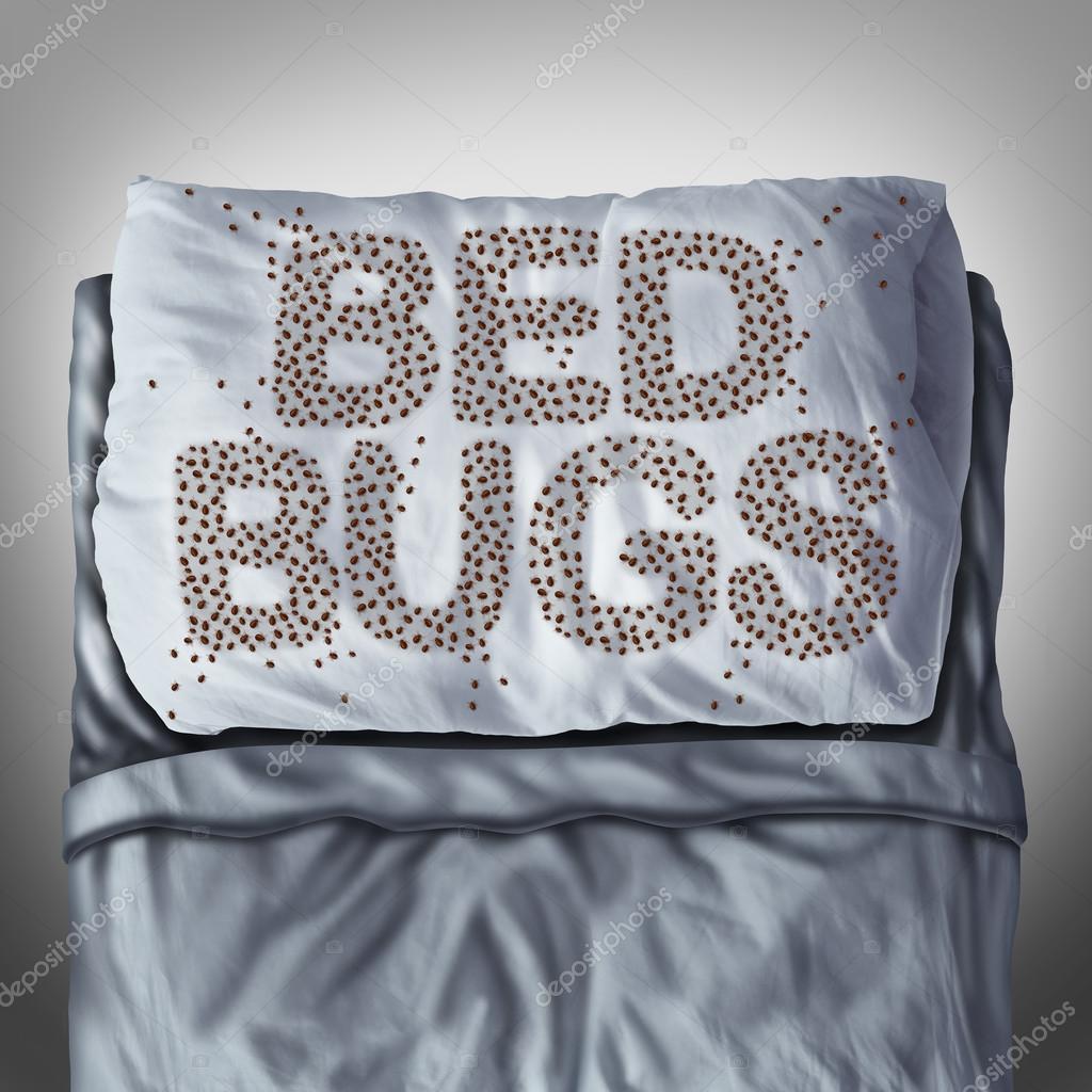 Bed Bugs On Pillow Stock Photo by ©lightsource 84232366