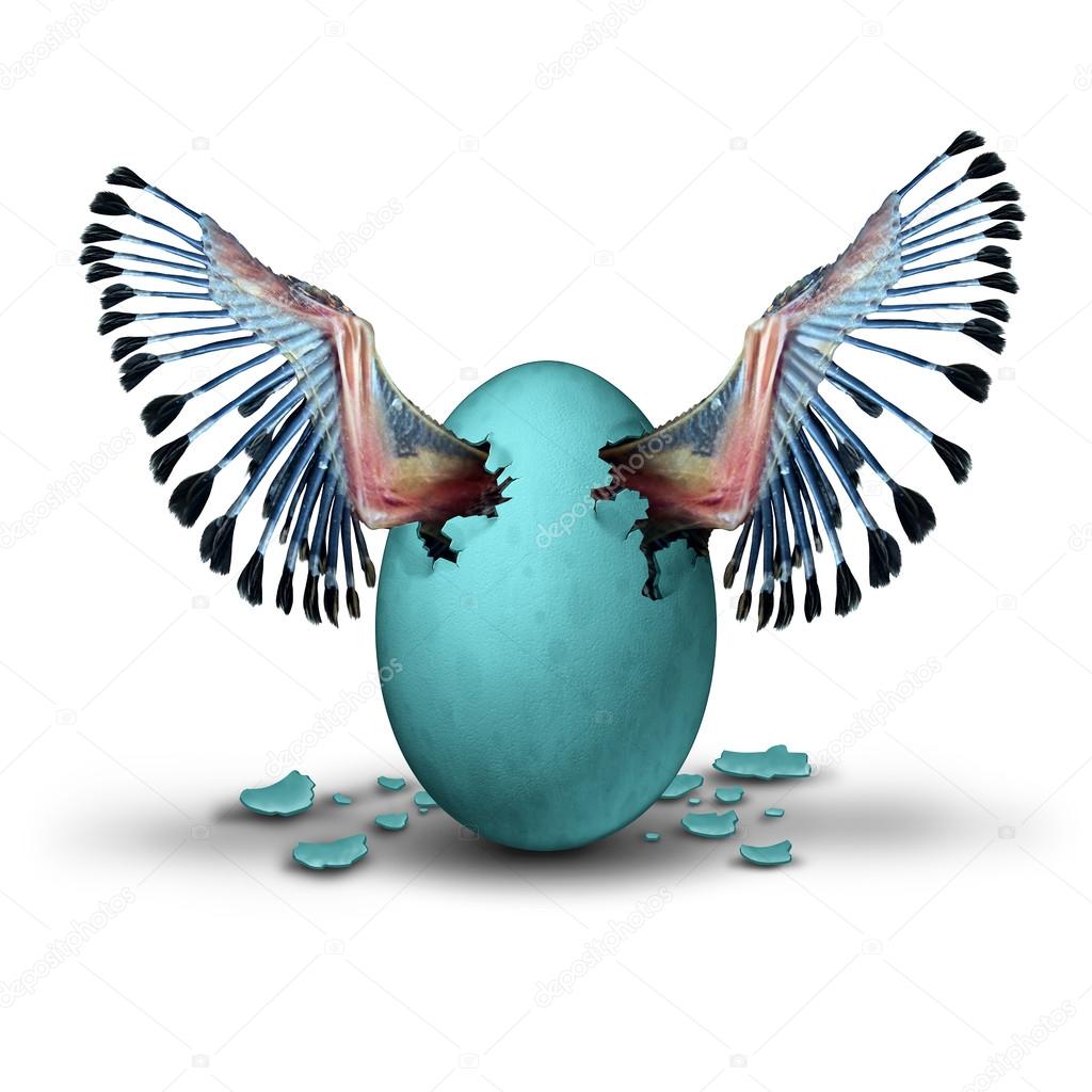 Premature start concept and impatient ambition business metaphor as the young wings of a baby birg emerging and breaking out of a blue egg as a symbol for prematurely starting a journey.