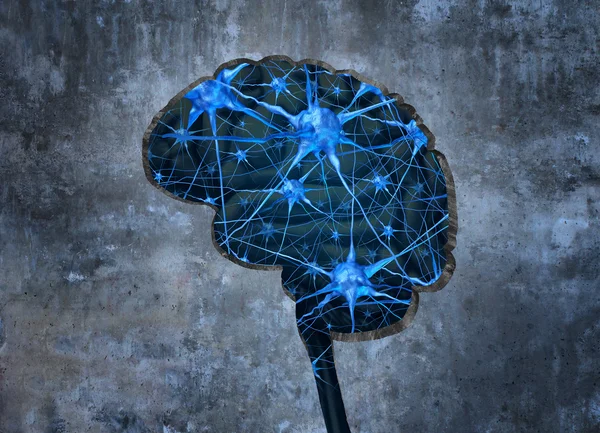 Inside mänskliga neurologi — Stockfoto