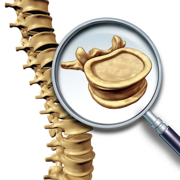 Omur Vertebral sütun — Stok fotoğraf