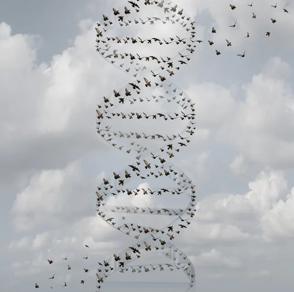 Dna na natureza — Fotografia de Stock