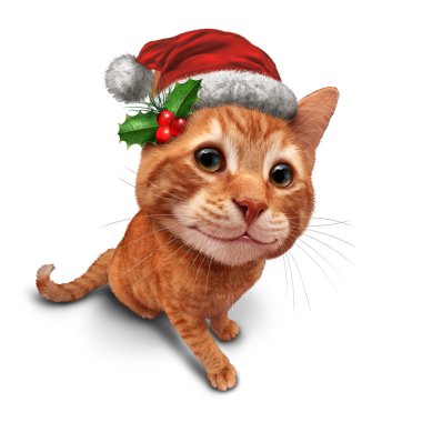 Cute Christmas Cat clipart