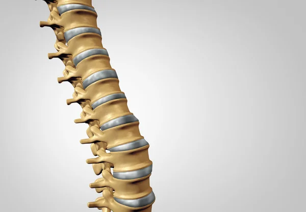 Spine Diagnostic Concept — Stock Photo, Image