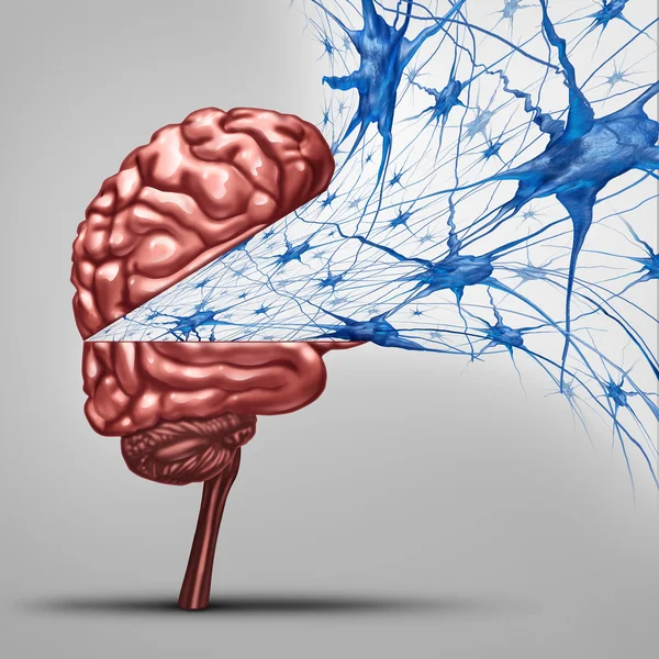 脳神経細胞の概念 — ストック写真