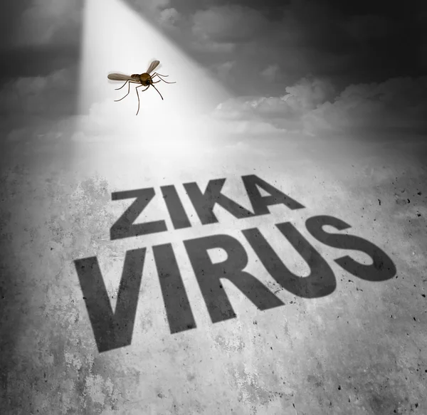 Zika Virus Risk — Stock Photo, Image