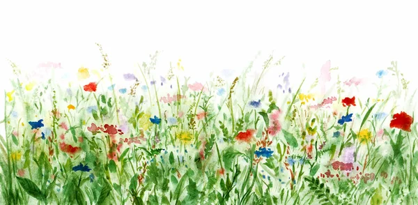 Zökkenőmentes Vadvirágok Gyep Határ Vagy Keret Bloomy Virágzó Rét Multicolor — Stock Fotó