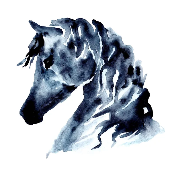 Cabeça Cavalo Com Crina Ventosa Aquarela Tinta Mão Pintura Focinho — Fotografia de Stock