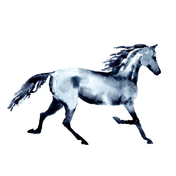 马在小跑 水彩画或水墨画 漂亮的手绘白图 马术的轮廓 跑马的运动 马术是用艺术笔画的 大马大马 — 图库照片#