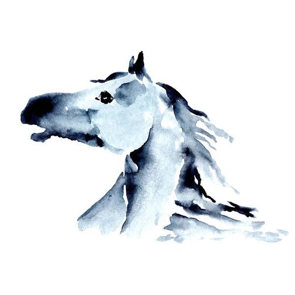 Nachbar Pferdekopf Mit Windiger Mähne Aquarell Oder Tusche Handmalerei Pferd — Stockfoto