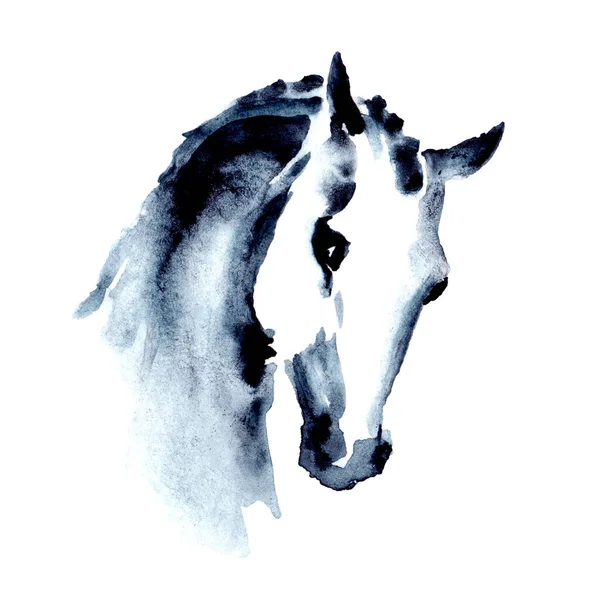 Cabeça Cavalo Árabe Aquarela Tinta Mão Pintura Focinho Cavalo Bela — Fotografia de Stock