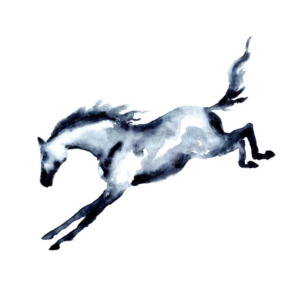 equino  Esboço cavalo, Pintura animal, Desenhos para pintura
