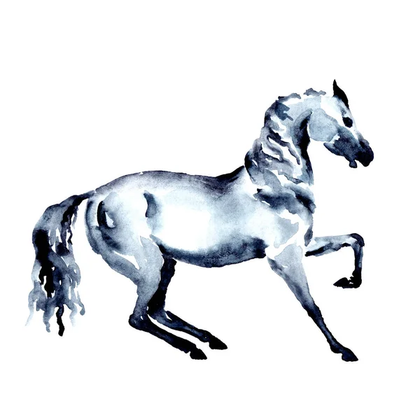 Cavalo Movimento Aquarela Pintura Mão Tinta Bela Mão Desenho Ilustração — Fotografia de Stock