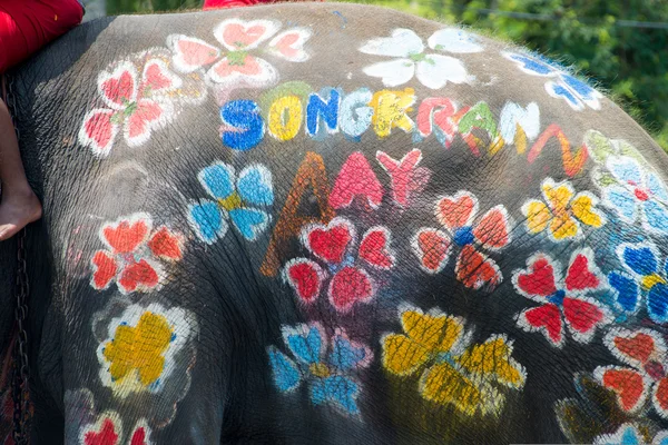 Close-up do corpo de elefante pintado com design colorido — Fotografia de Stock