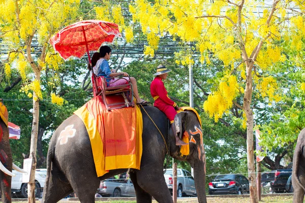Mensen die op olifanten rijden — Stockfoto