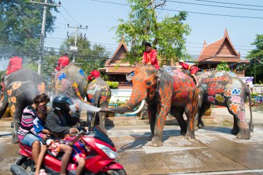 Songkran Festivali Ayuttaya