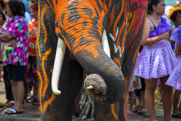 Elefant gå med i Songkran Festival — Stockfoto