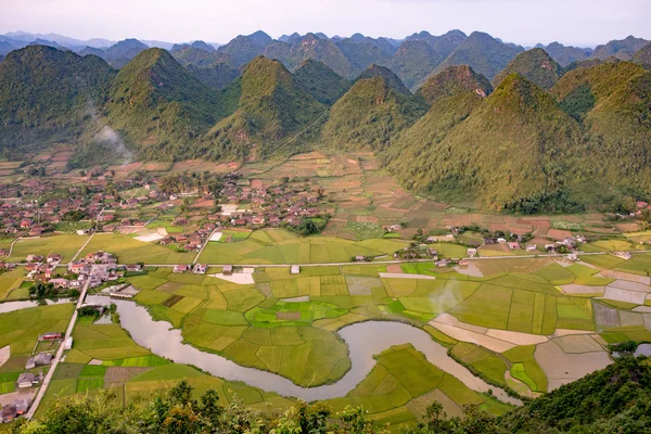 Berg och risfält i Vietnam Stockfoto