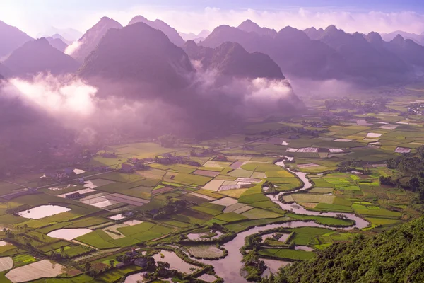 Βουνά και τομέα του ρυζιού στο Βιετνάμ — Φωτογραφία Αρχείου
