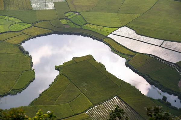 Paddy alan ve dere — Stok fotoğraf