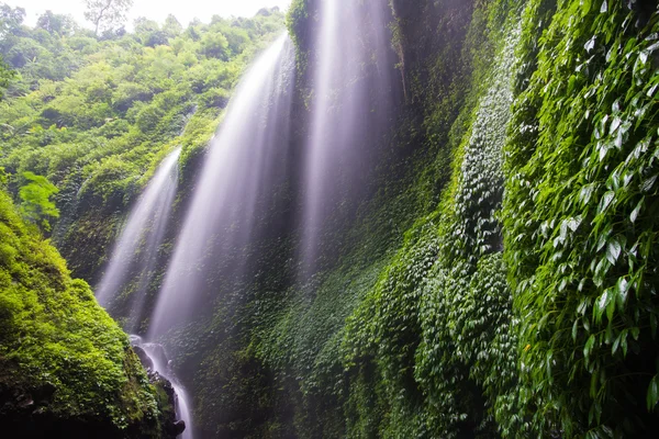 น้ําตก Madakaripura ที่สวยงาม — ภาพถ่ายสต็อก