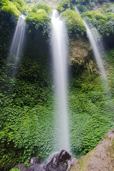 Beautiful Madakaripura Waterfall — Stock Photo, Image