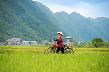 Bisiklet ile yerel Vietnamca yürüyüş
