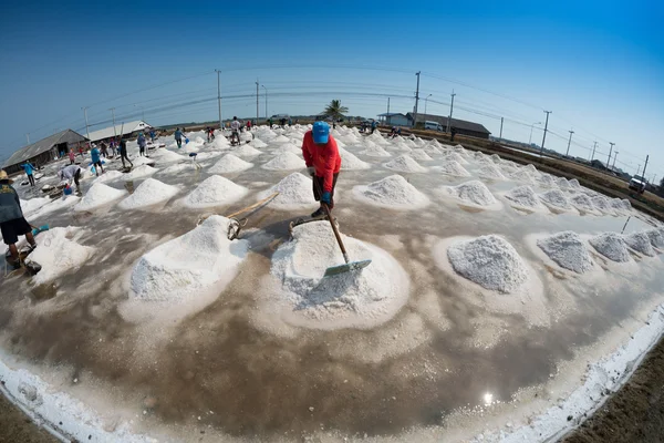Farmers making salt piles — Stock Photo, Image