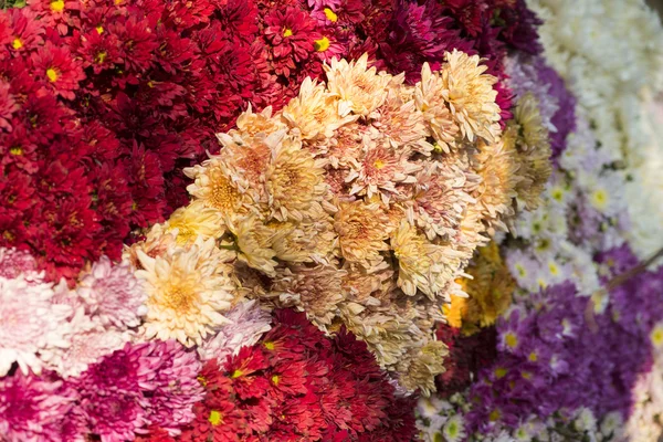 Flower market in Mandalay — Stock Photo, Image