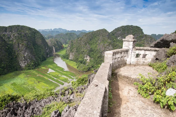 Rýžová pole ve Vietnamu — Stock fotografie