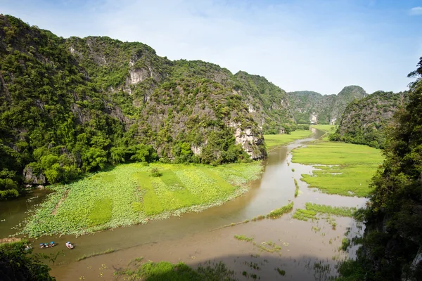 Rice field in Tam Coc — Stock Photo, Image