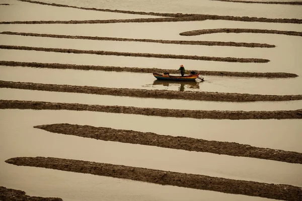 Boat Sailing Xiapu Mudflats Low Tide — Stock Photo, Image