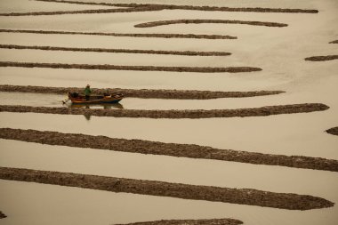 Sular çekildiğinde Xiapu 'nun çamurlu düzlüklerinde yol alan bir tekne.