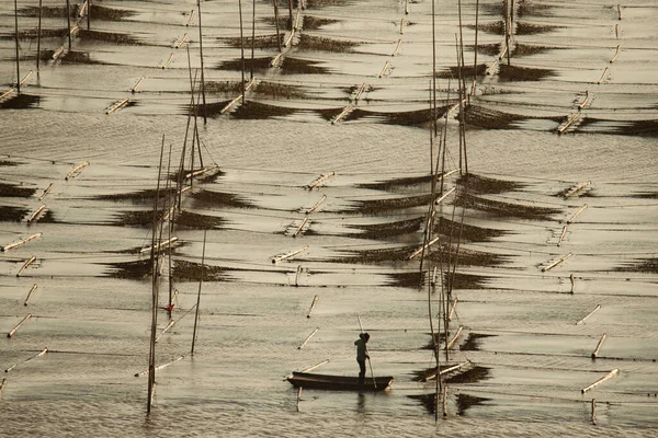 Фермери Працюють Морській Фермі Окрузі Сяпу Китайська Провінція Фуцзянь — стокове фото