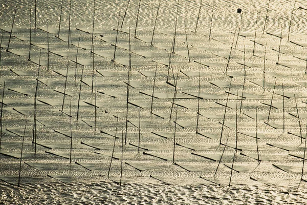 Seaweed Farm Xiapu County China Fujian Province — Stock Photo, Image