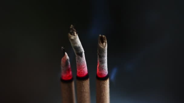 Três Incensos Ardentes Fumegantes Cinzas Cair — Vídeo de Stock