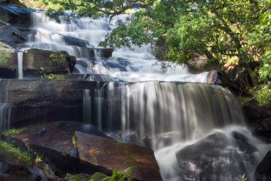 Ormandaki şelaleler