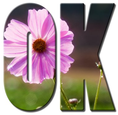 Metin Pembe çiçek ile Ok