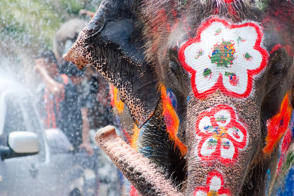 Elephant splashing water during Songkran Festival