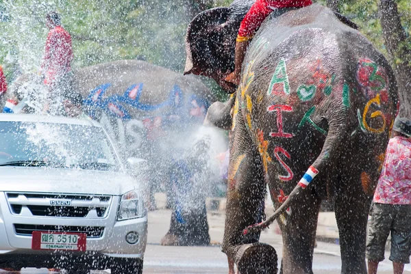 Elephant splashing water during Songkran Festival — Stock Photo, Image