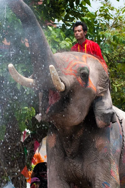 Elefante espirrando água durante o Festival de Songkran — Fotografia de Stock