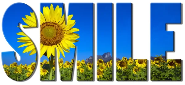 Smile with an image of sunflowers field — Stock Photo, Image