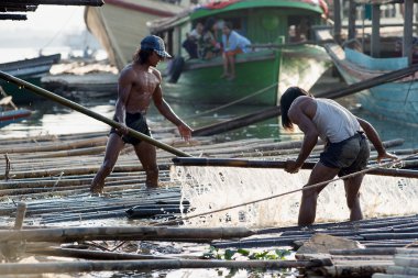 Bambu şaftlar yükleme