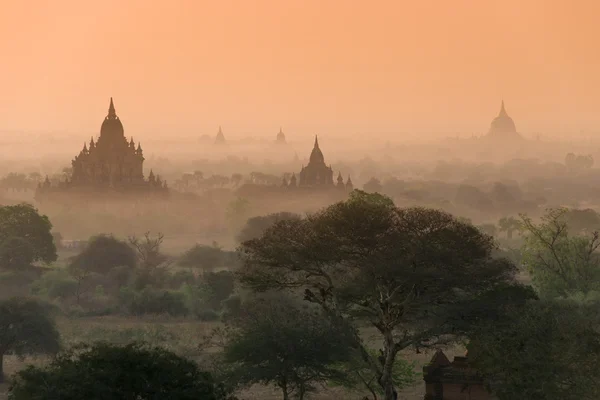 Pagoden in bagan — Stockfoto