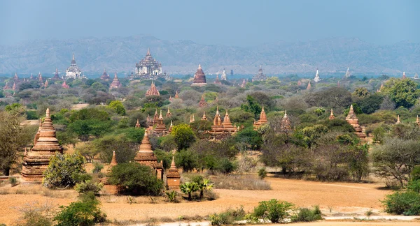 Moři pagod a chrámy v Bagan — Stock fotografie