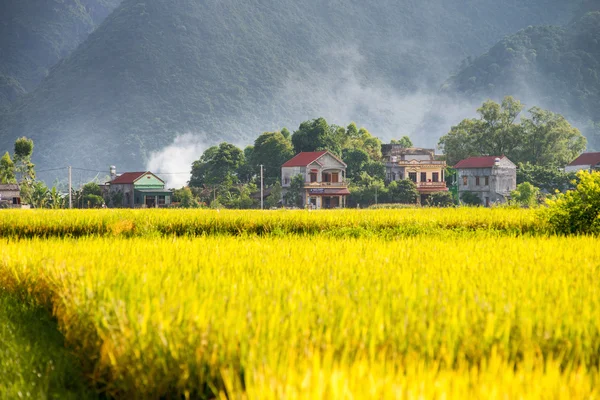 Bacson Valley, Vietnam Royaltyfria Stockfoton