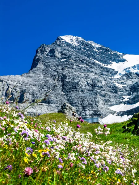 Eiger, Switzerland — 图库照片