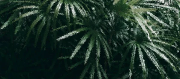 유리를 보이는 정원의 — 스톡 사진