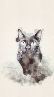 Tayland 'da kara kedi yerde. Suluboya biçimi.